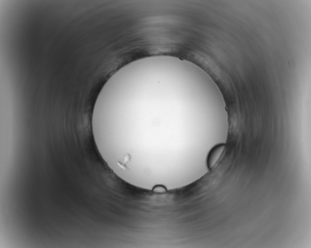 X0000094790426200711301610