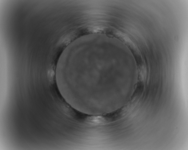 X0000094790427200711301610