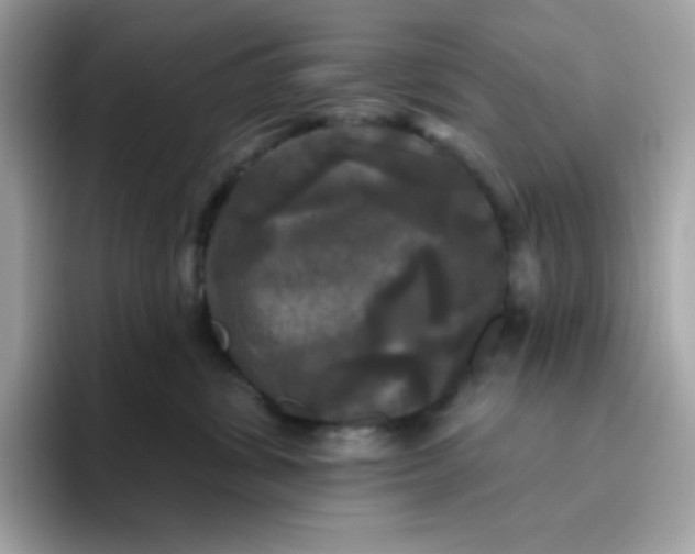 X0000094790428200711301610