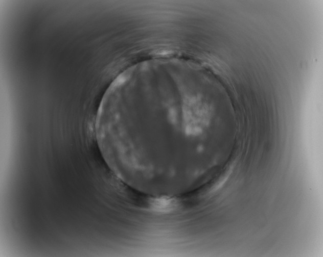 X0000094790432200711301610