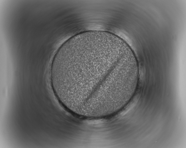 X0000094790433200711301609