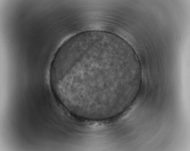 X0000094790434200711301609