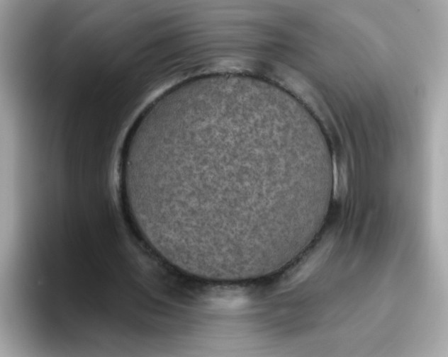 X0000094790435200711301609