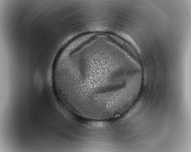 X0000094790439200711301609