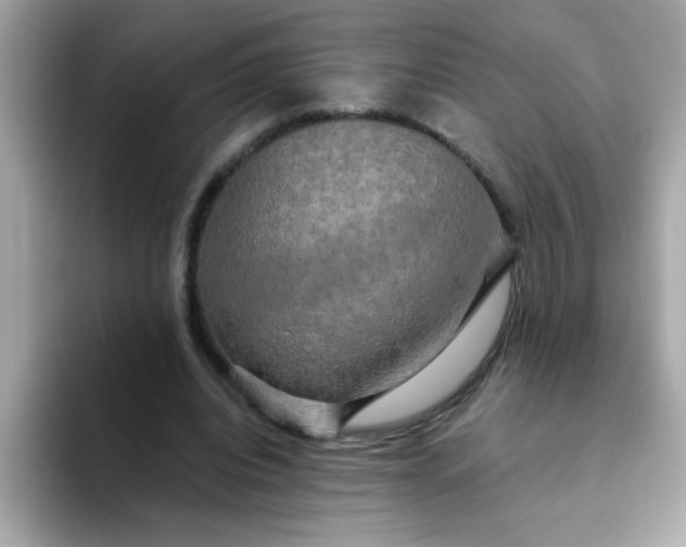 X0000094790440200711301609