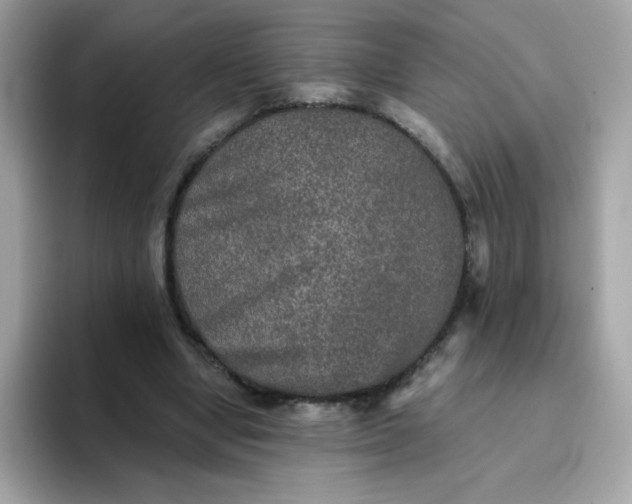 X0000094790442200711301609