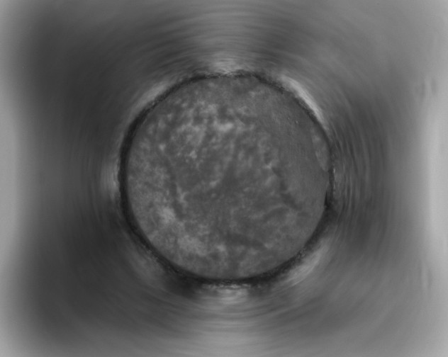 X0000094790443200711301609