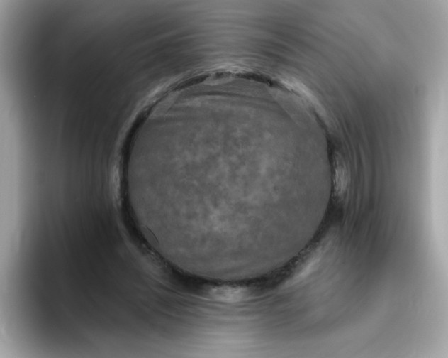 X0000094790444200711301609