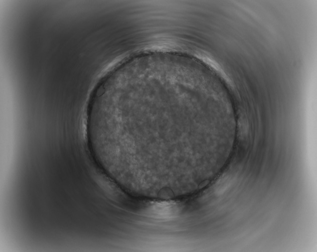 X0000094790446200711301609