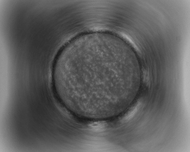 X0000094790447200711301609