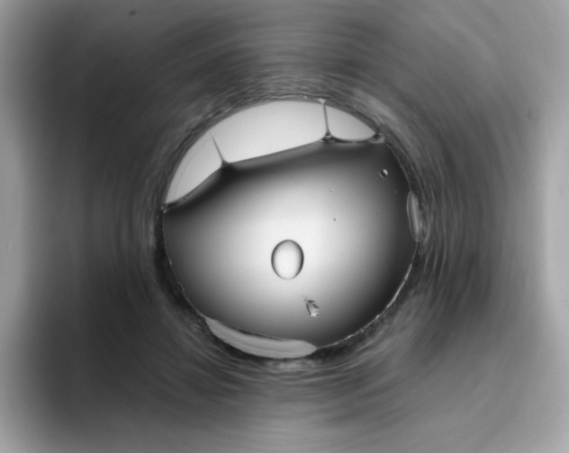 X0000094790452200711301609