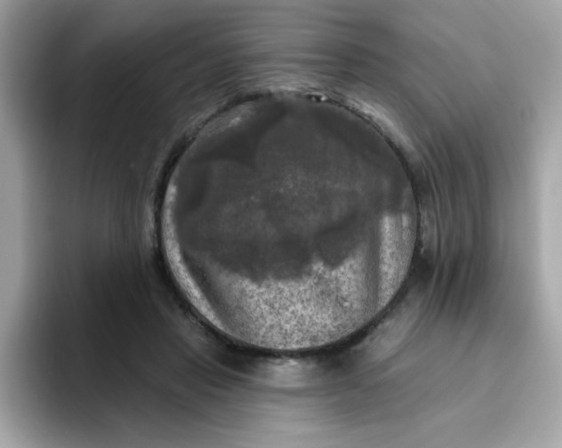 X0000094790453200711301609