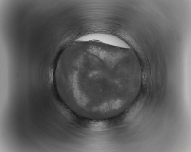 X0000094790454200711301609