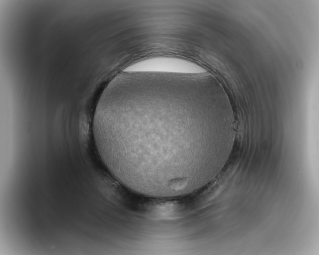 X0000094790456200711301609