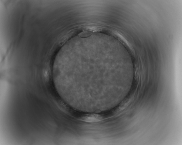 X0000094790459200711301610