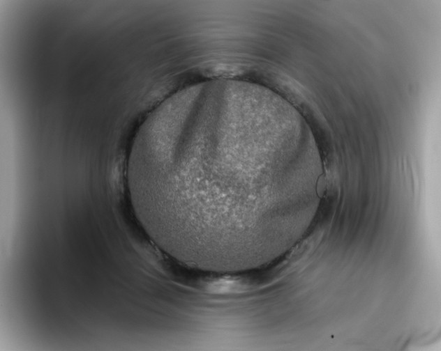 X0000094790460200711301610