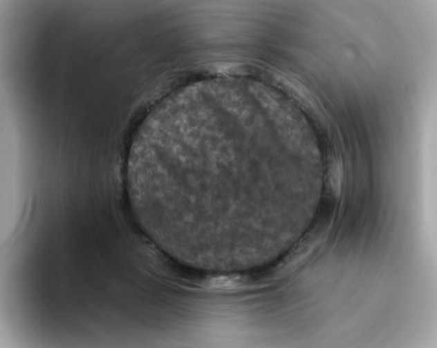 X0000094790461200711301610