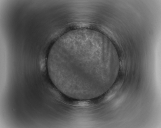 X0000094790462200711301610