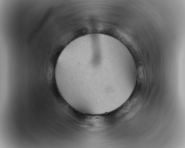 X0000094790463200711301610