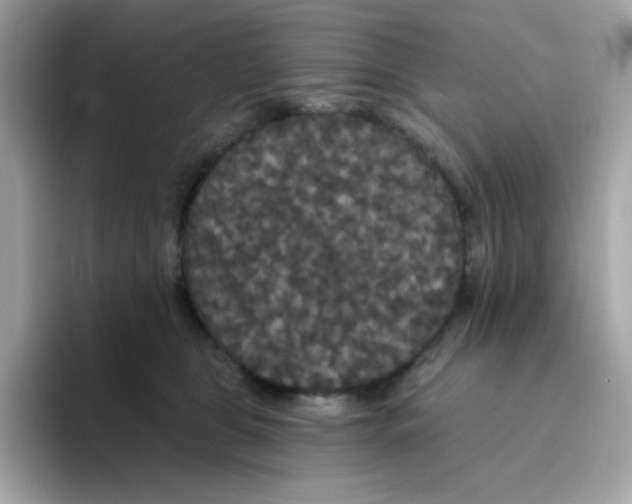 X0000094790469200711301610