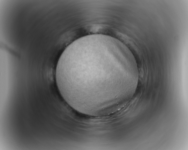 X0000094790470200711301610