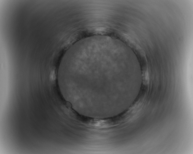 X0000094790472200711301610