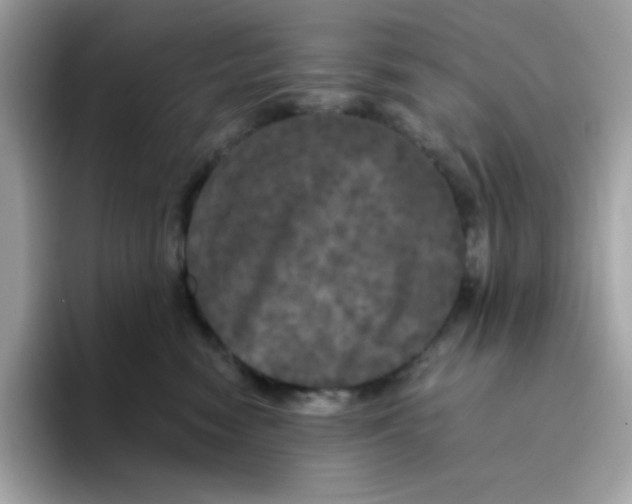 X0000094790474200711301610