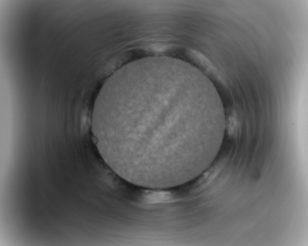 X0000094790476200711301610