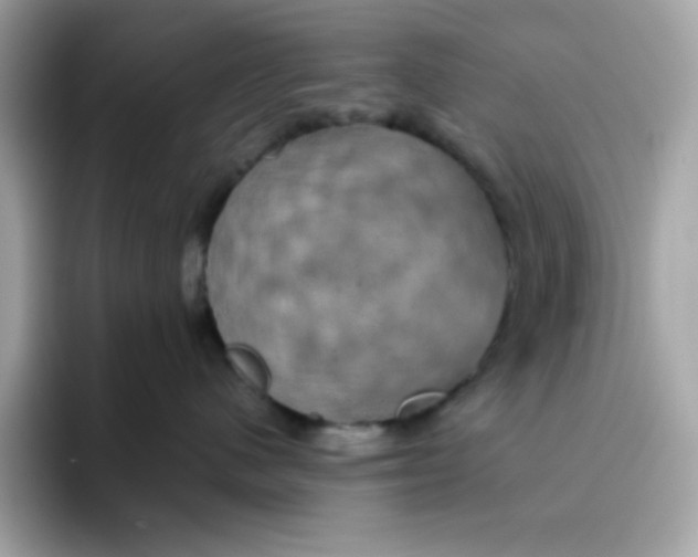 X0000094790480200711301610