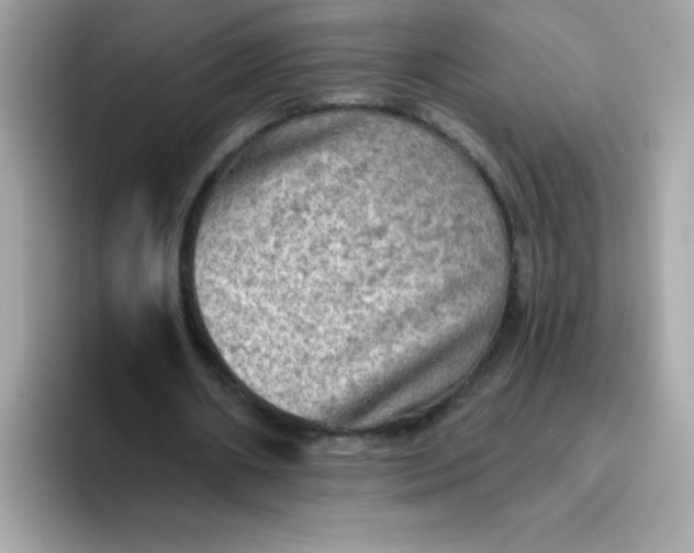 X0000094790482200711301609