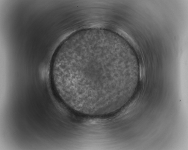 X0000094790483200711301609