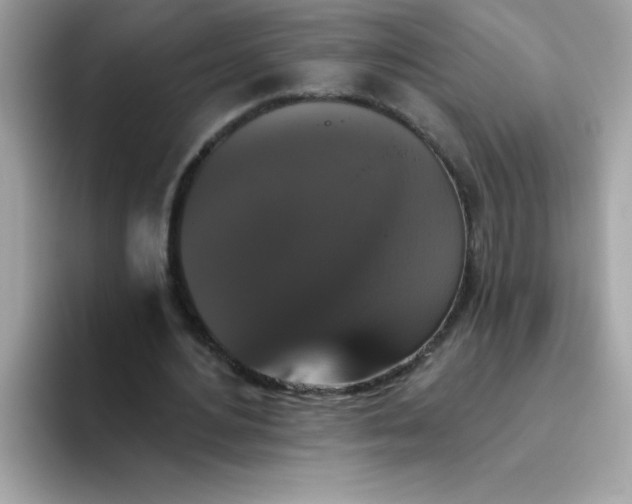 X0000094790484200711301609