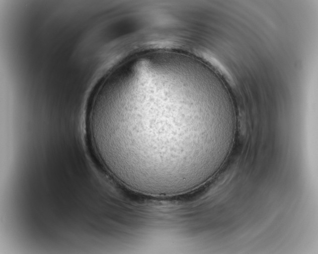 X0000094790486200711301609