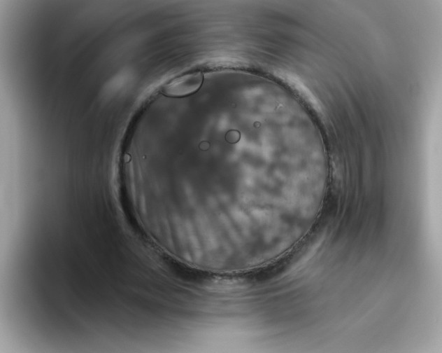 X0000094790487200711301609