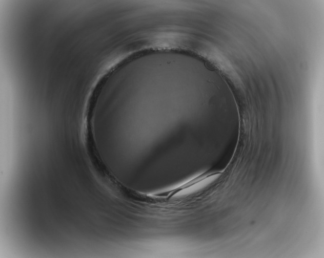 X0000094790488200711301609