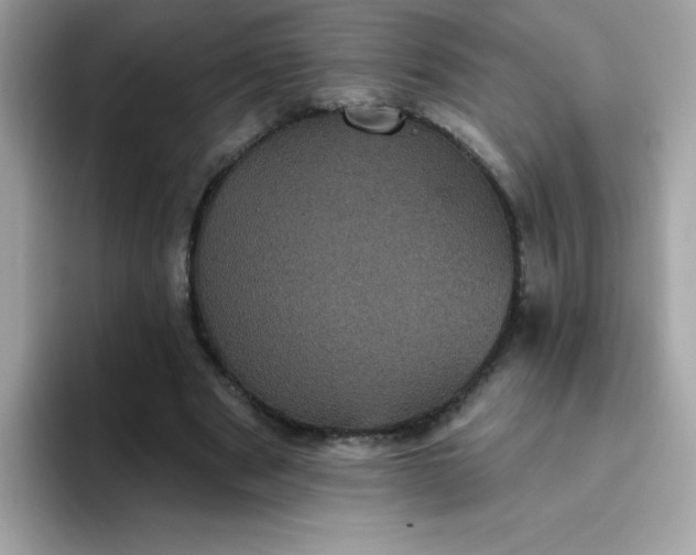 X0000094790489200711301609