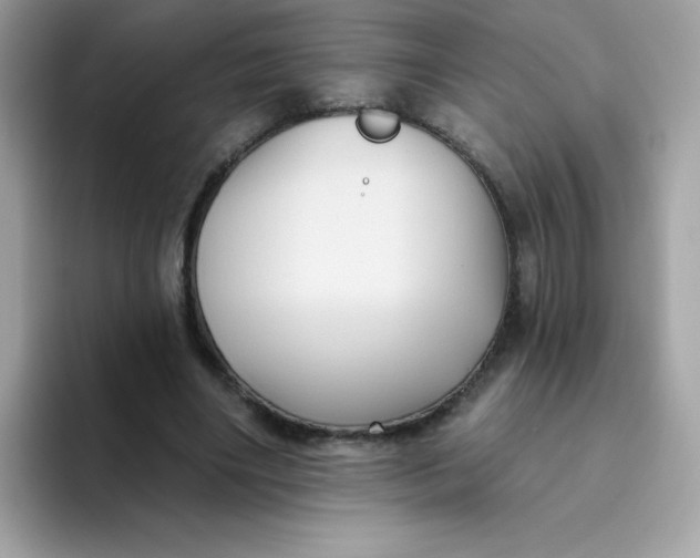 X0000094790490200711301609