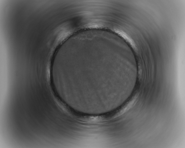 X0000094790493200711301609