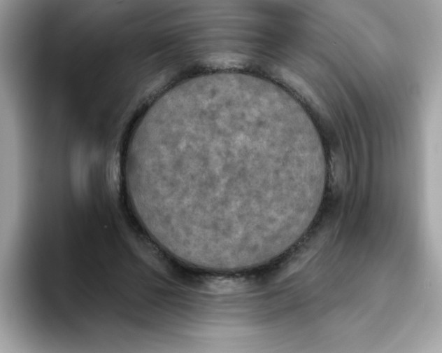 X0000094790494200711301609