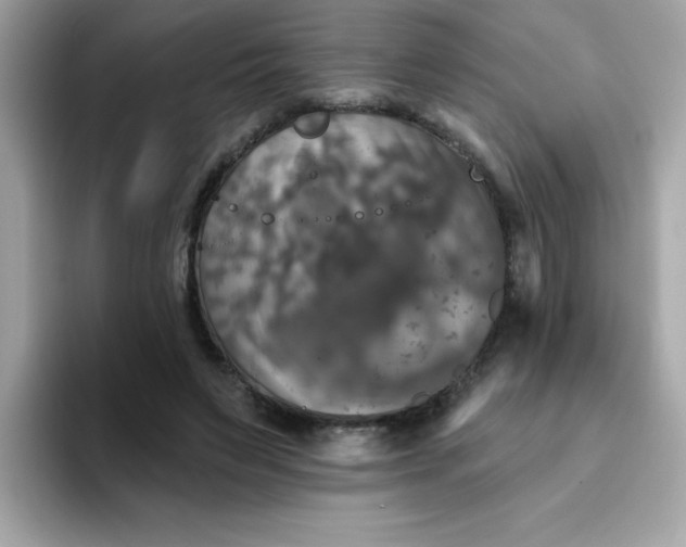 X0000094790495200711301609