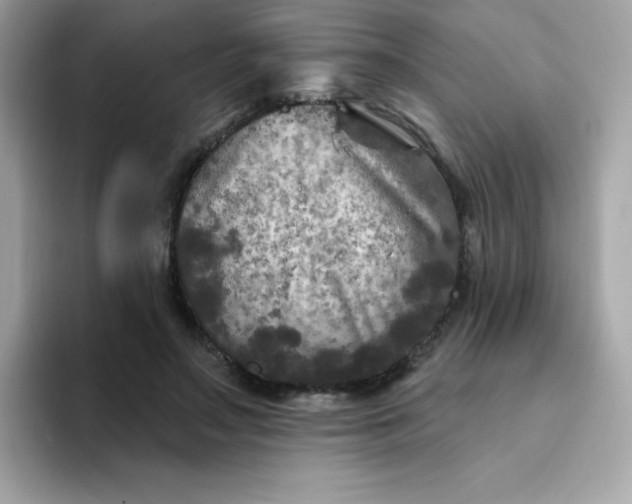 X0000094790499200711301609