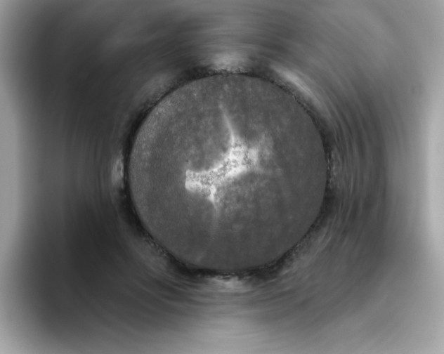 X0000094790502200711301609