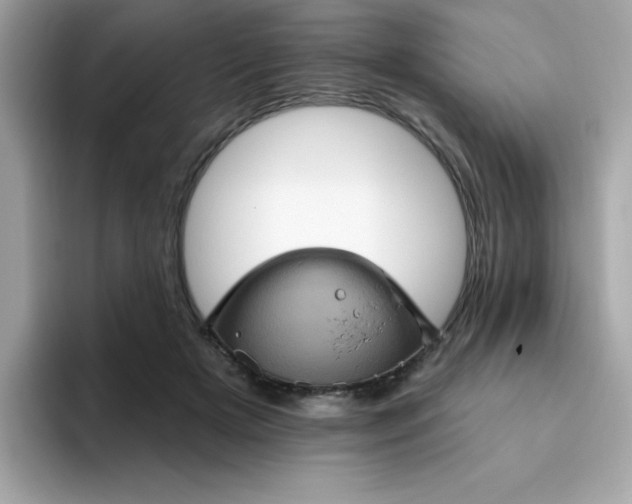 X0000094790505200711301609