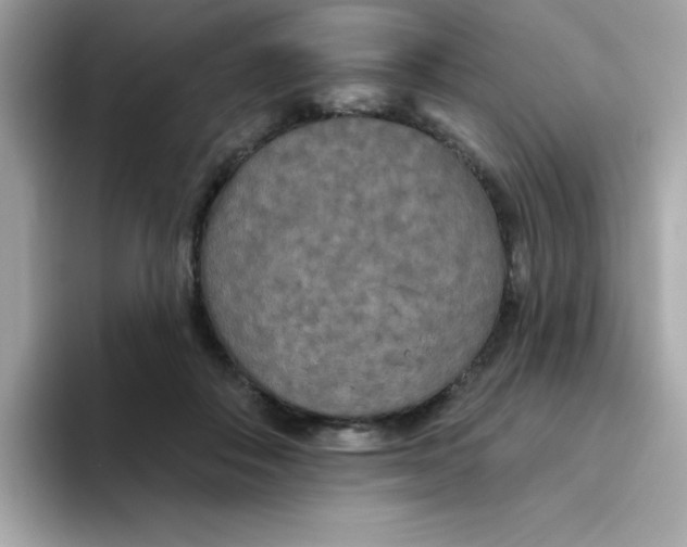 X0000094790506200711301609