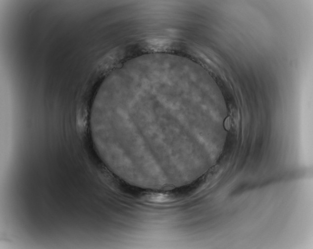 X0000094790507200711301609