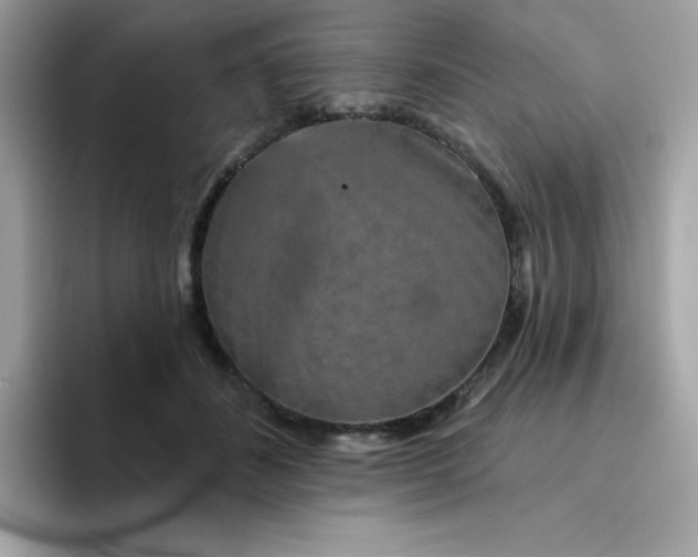 X0000094790508200711301609