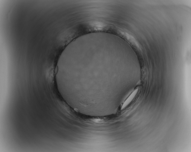 X0000094790509200711301609