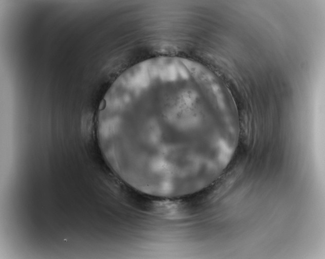 X0000094790511200711301609