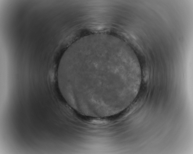 X0000094790515200711301609