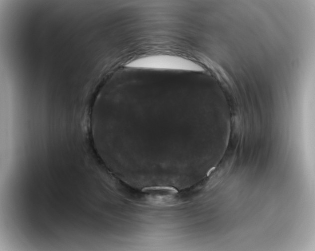 X0000094790517200711301609